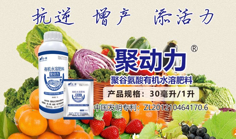 肥料檢出植物生長調節劑最高可處20倍罰款，聚谷氨酸或成安全增效新選擇